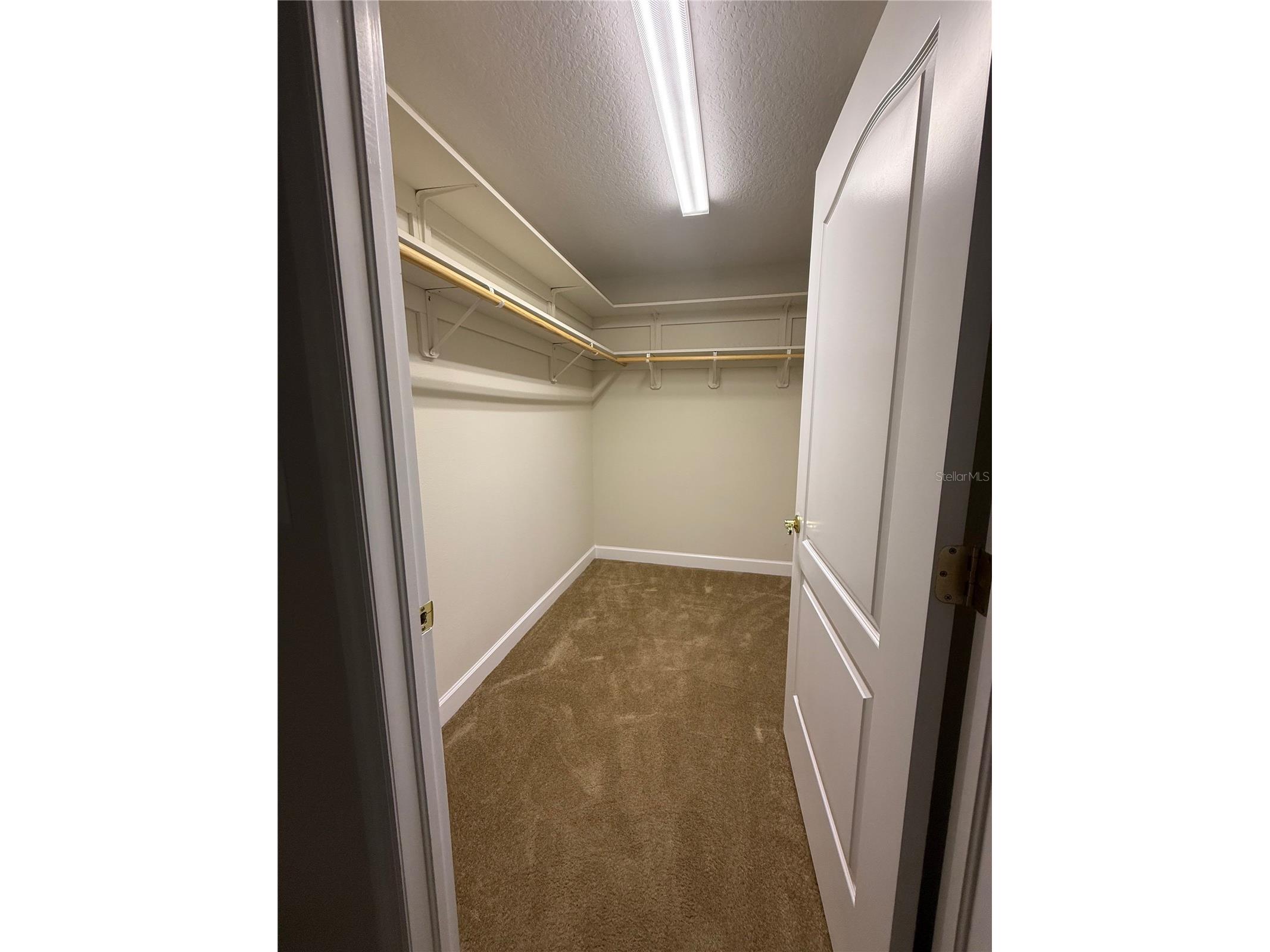603 Royan Way Brandon FL 33511 TB8489744 image29