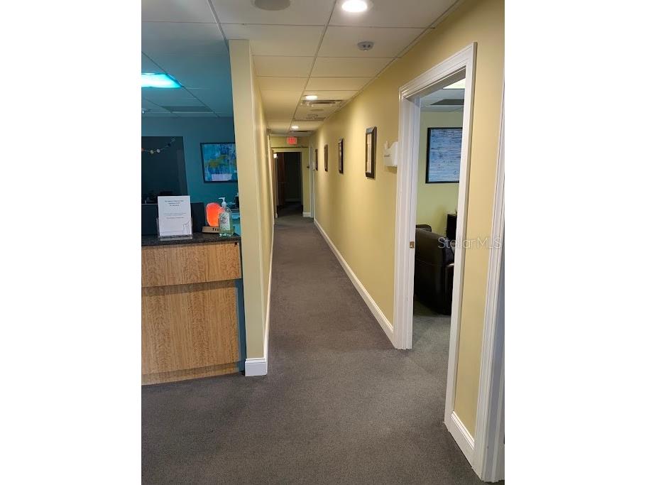603 S Boulevard Tampa FL 33606 TB8466055 image11