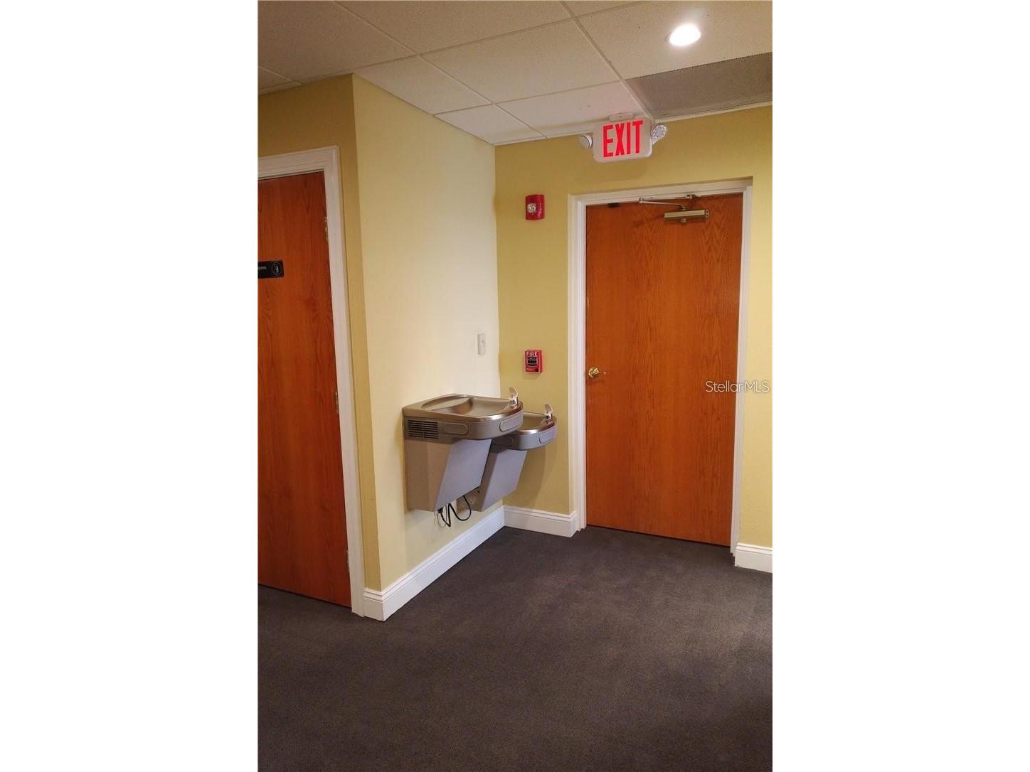 603 S Boulevard Tampa FL 33606 TB8466055 image22