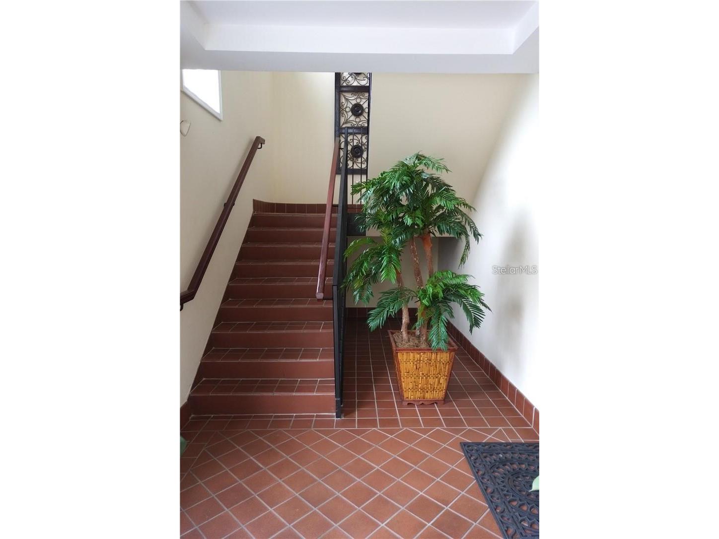603 S Boulevard Tampa FL 33606 TB8466055 image3
