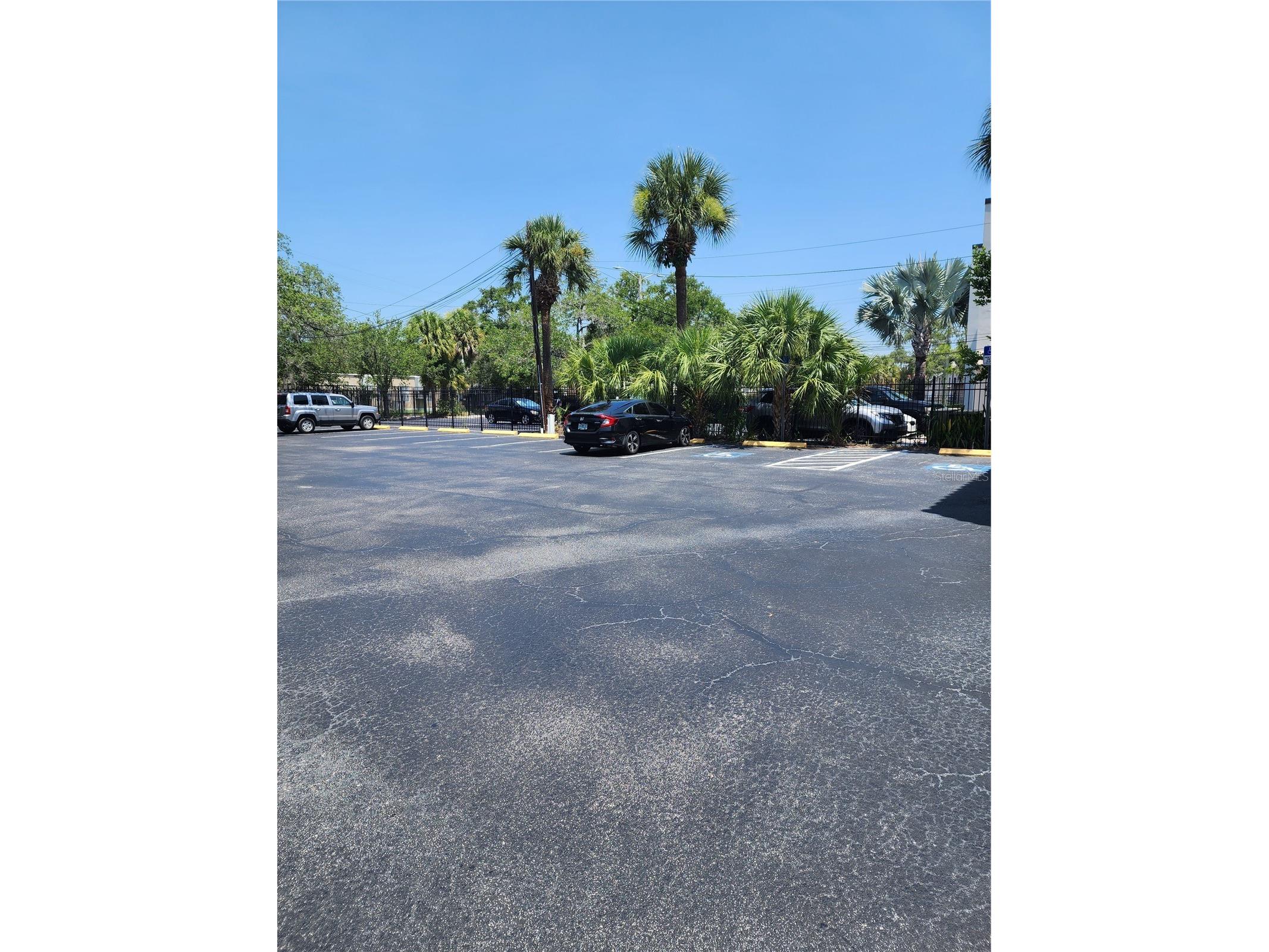 603 S Boulevard Tampa FL 33606 TB8466055 image30