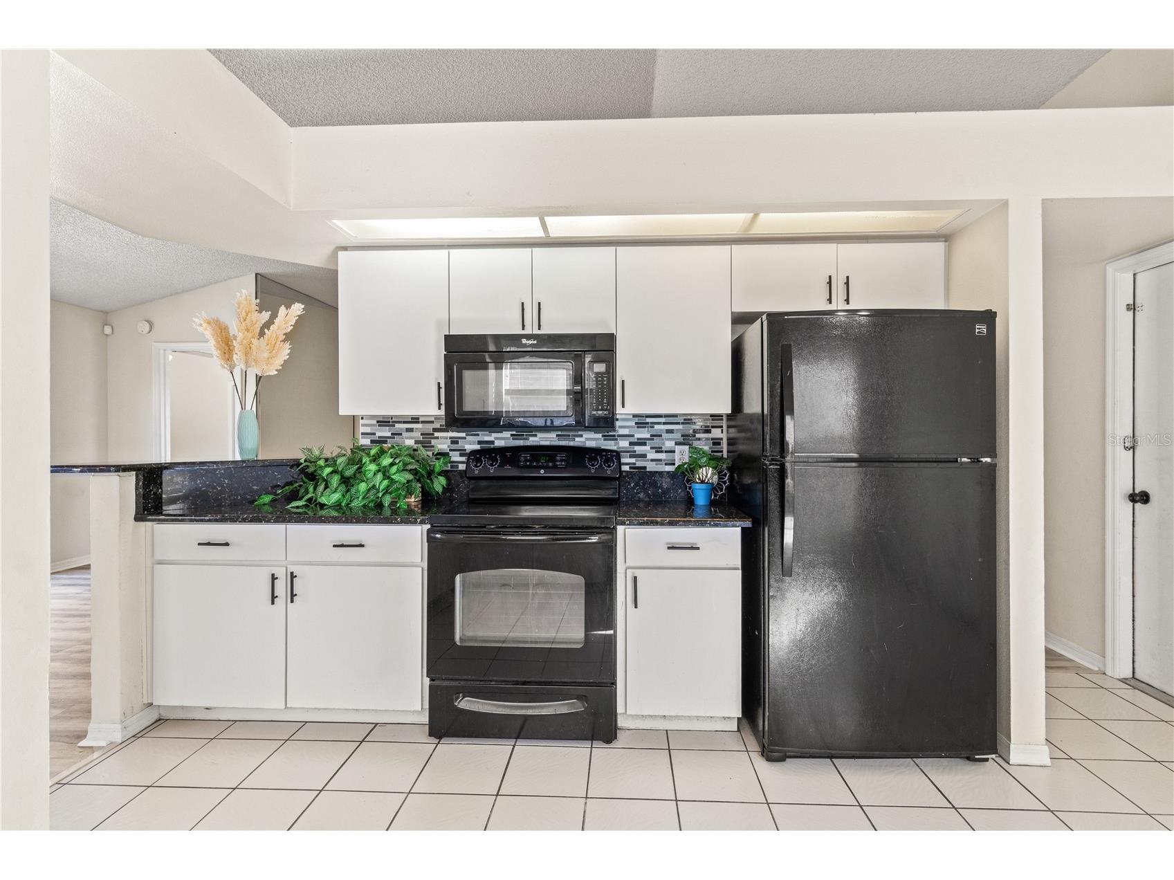 603 Sand Ridge Drive Valrico FL 33594 TB8480701 image18