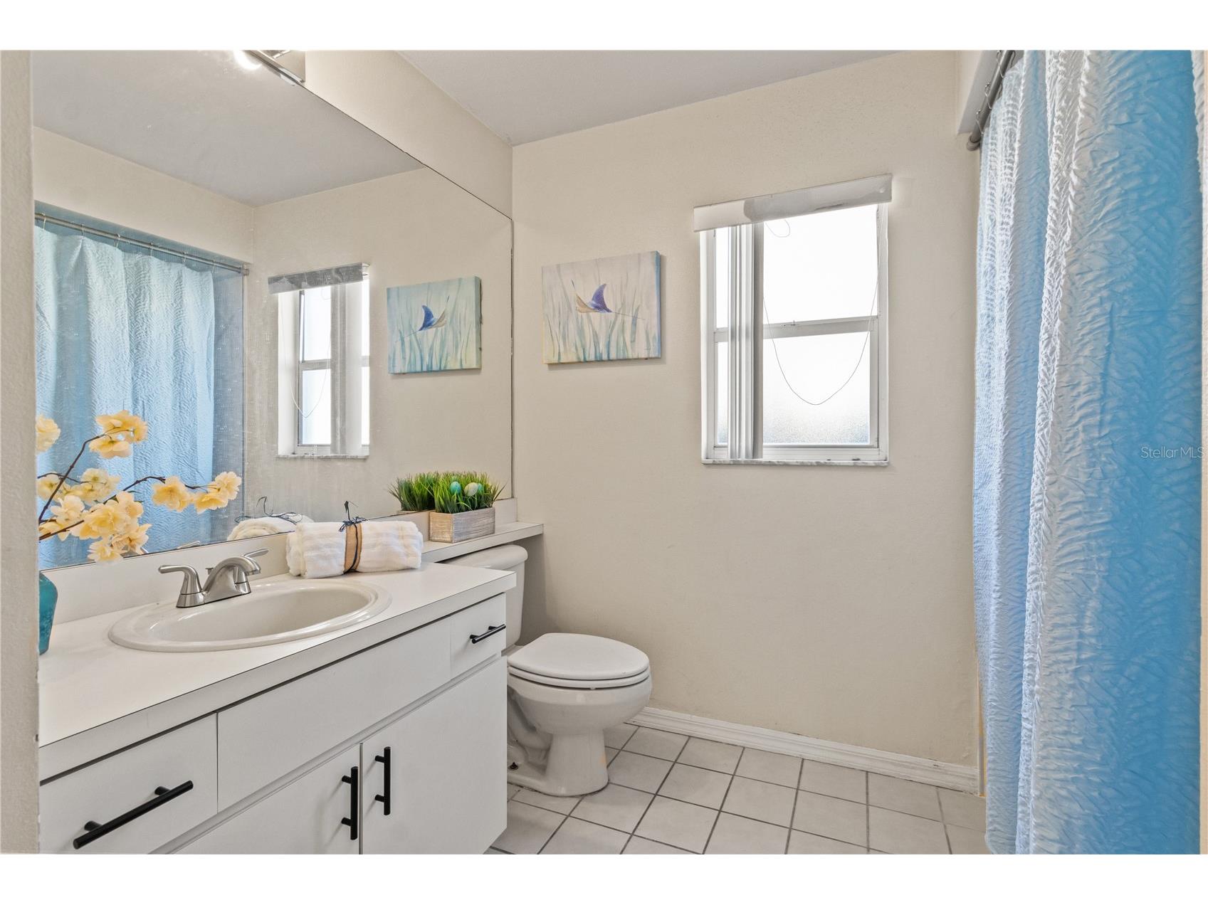 603 Sand Ridge Drive Valrico FL 33594 TB8480701 image28