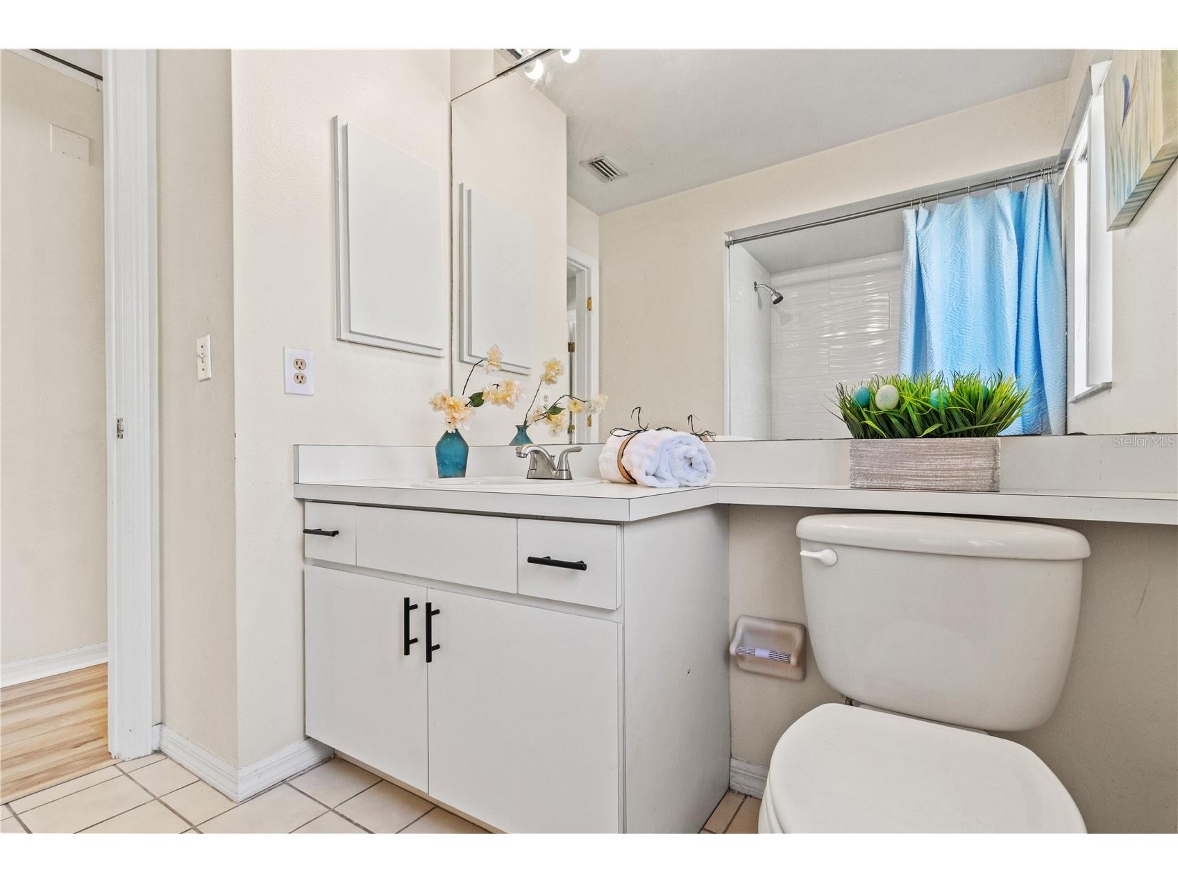 603 Sand Ridge Drive Valrico FL 33594 TB8480701 image29