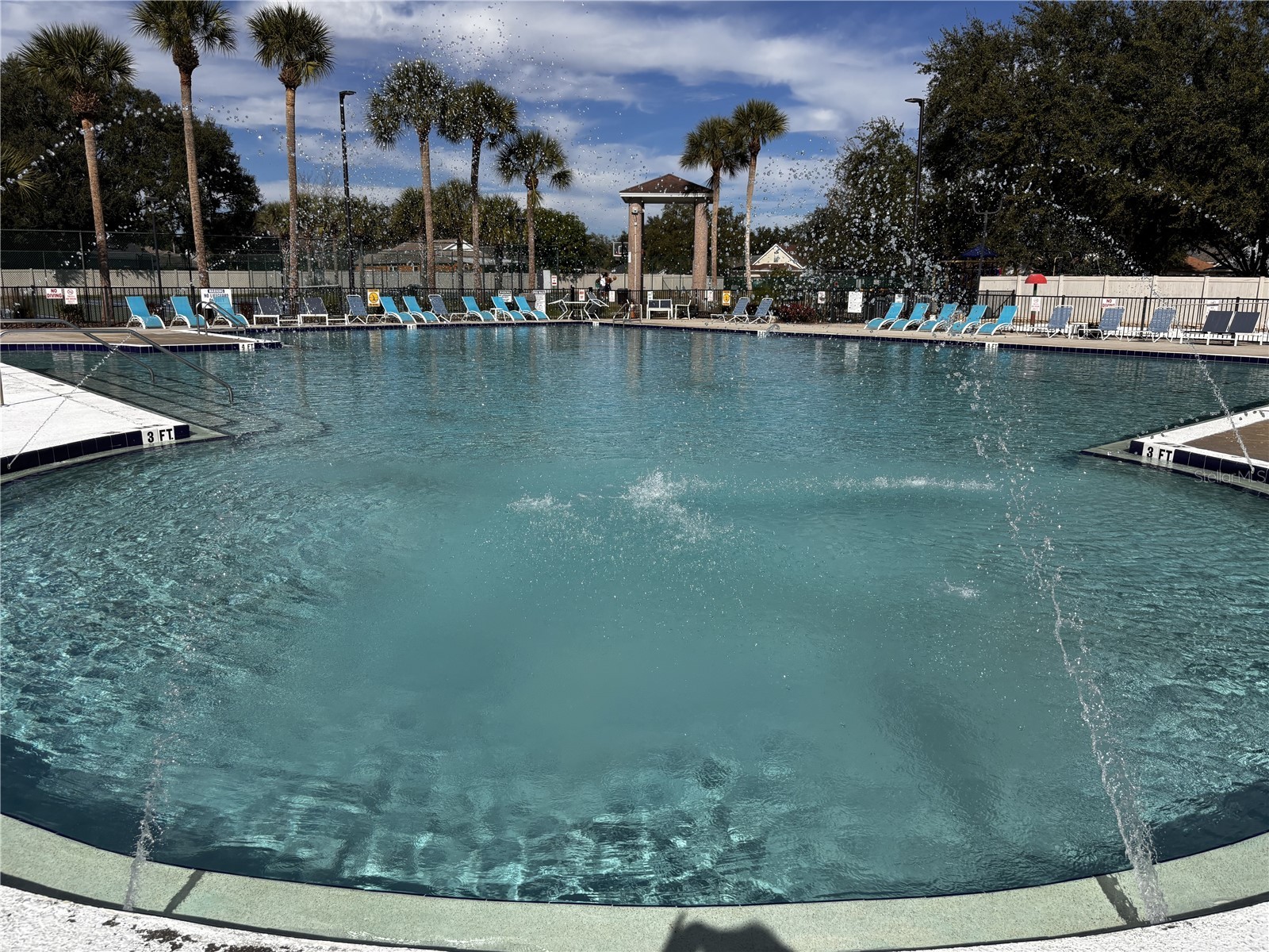 603 Sand Ridge Drive Valrico FL 33594 TB8480701 image38