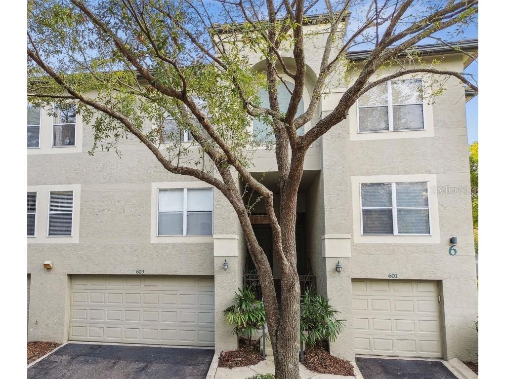 603 Tropical Breeze Way Tampa FL 33602 TB8339925 image1