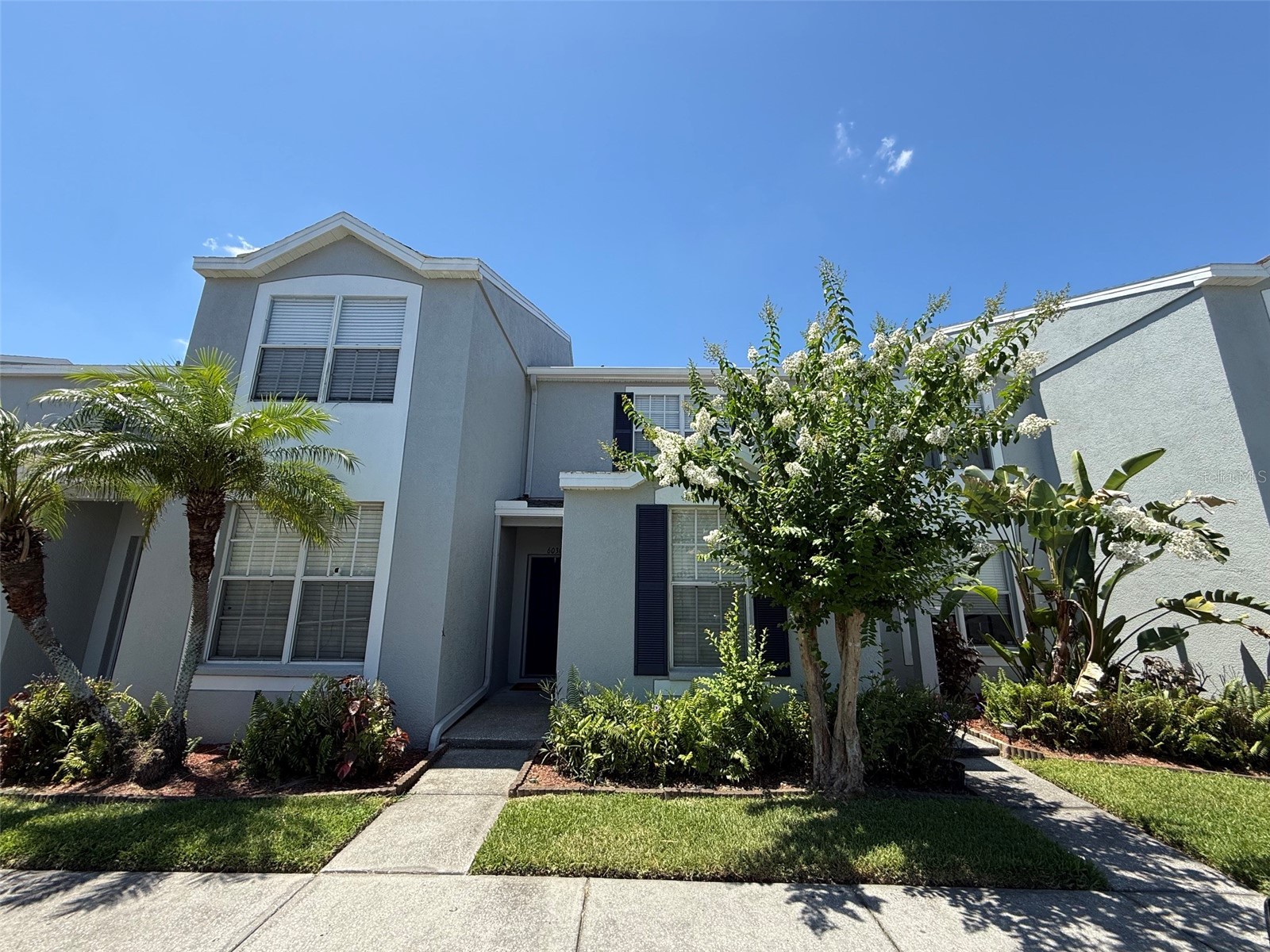 6030 Osprey Lake Circle Riverview FL 33578 TB8522202 image1