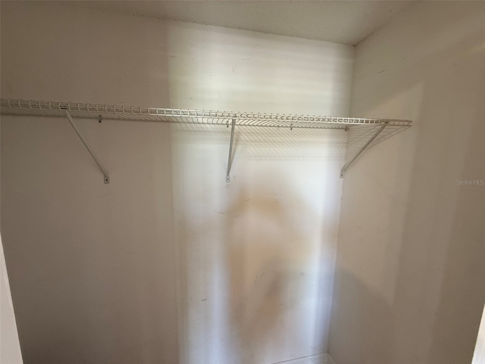 6030 Osprey Lake Circle Riverview FL 33578 TB8522202 image9
