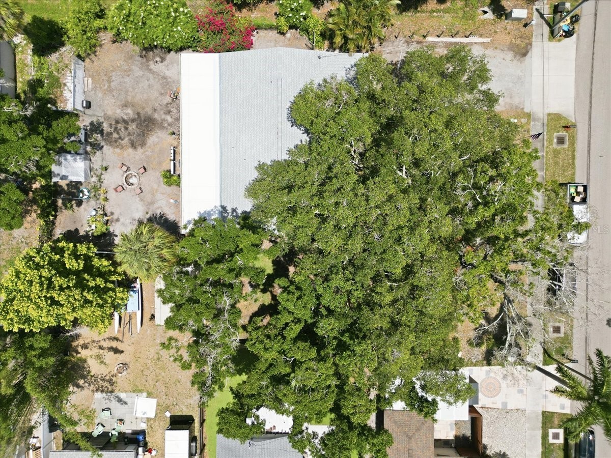 6031 71st Avenue N Pinellas Park FL 33781 TB8511595 image31
