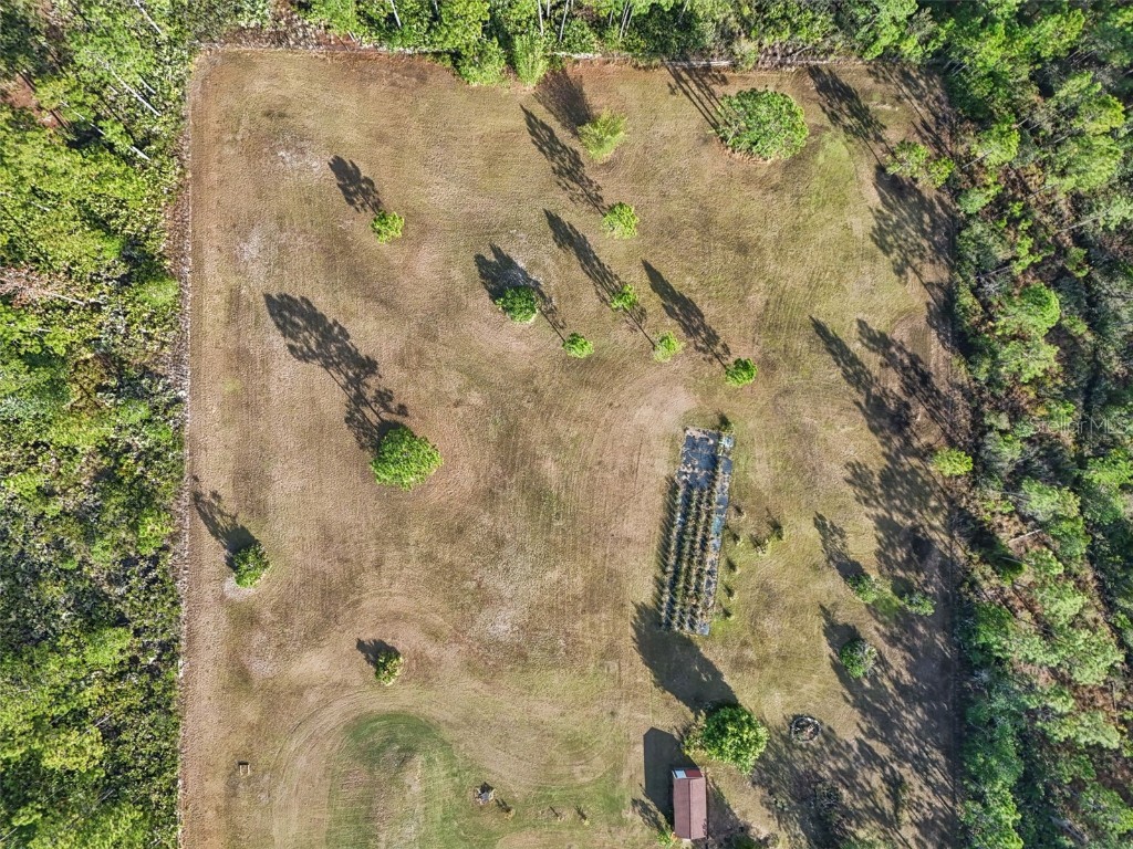 6031 Bancroft Boulevard Orlando FL 32833 O6359787 image42