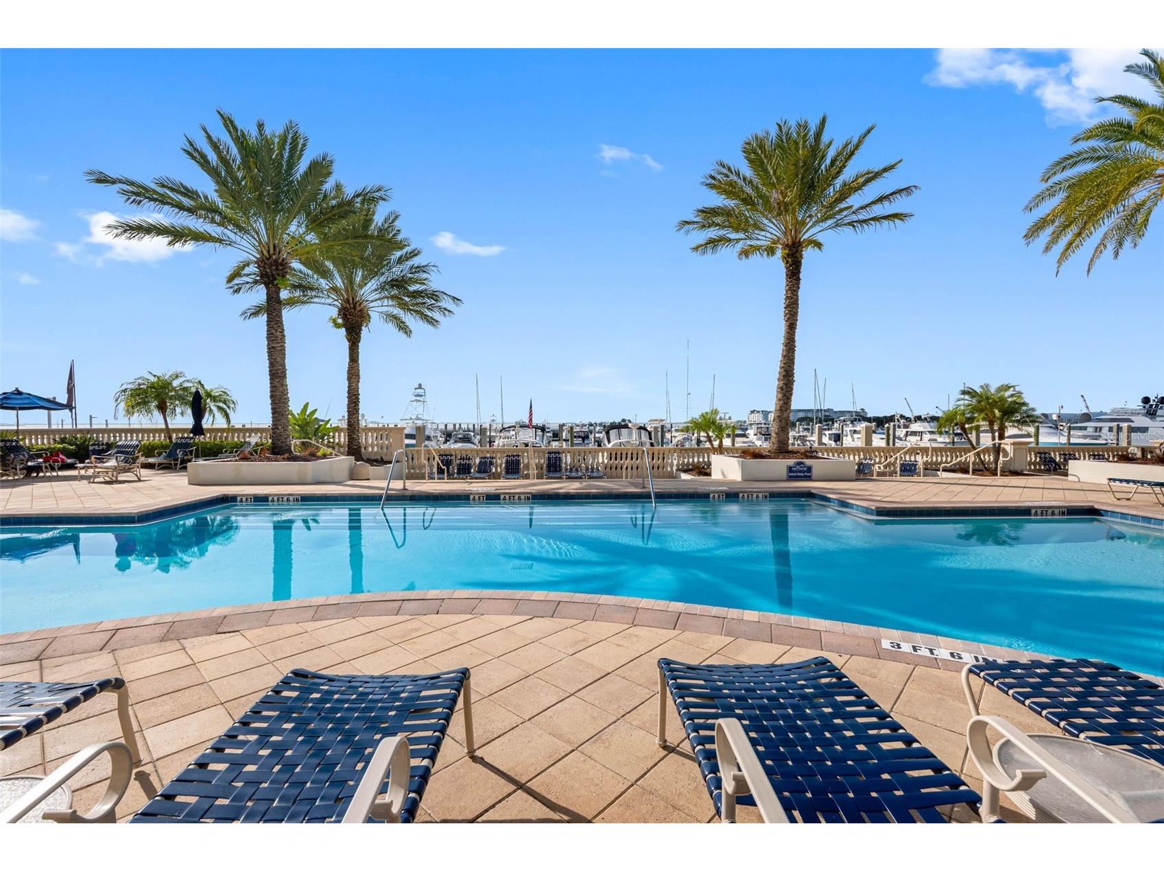 6031 Bowen Daniel Drive #105 Tampa FL 33616 TB8481667 image3