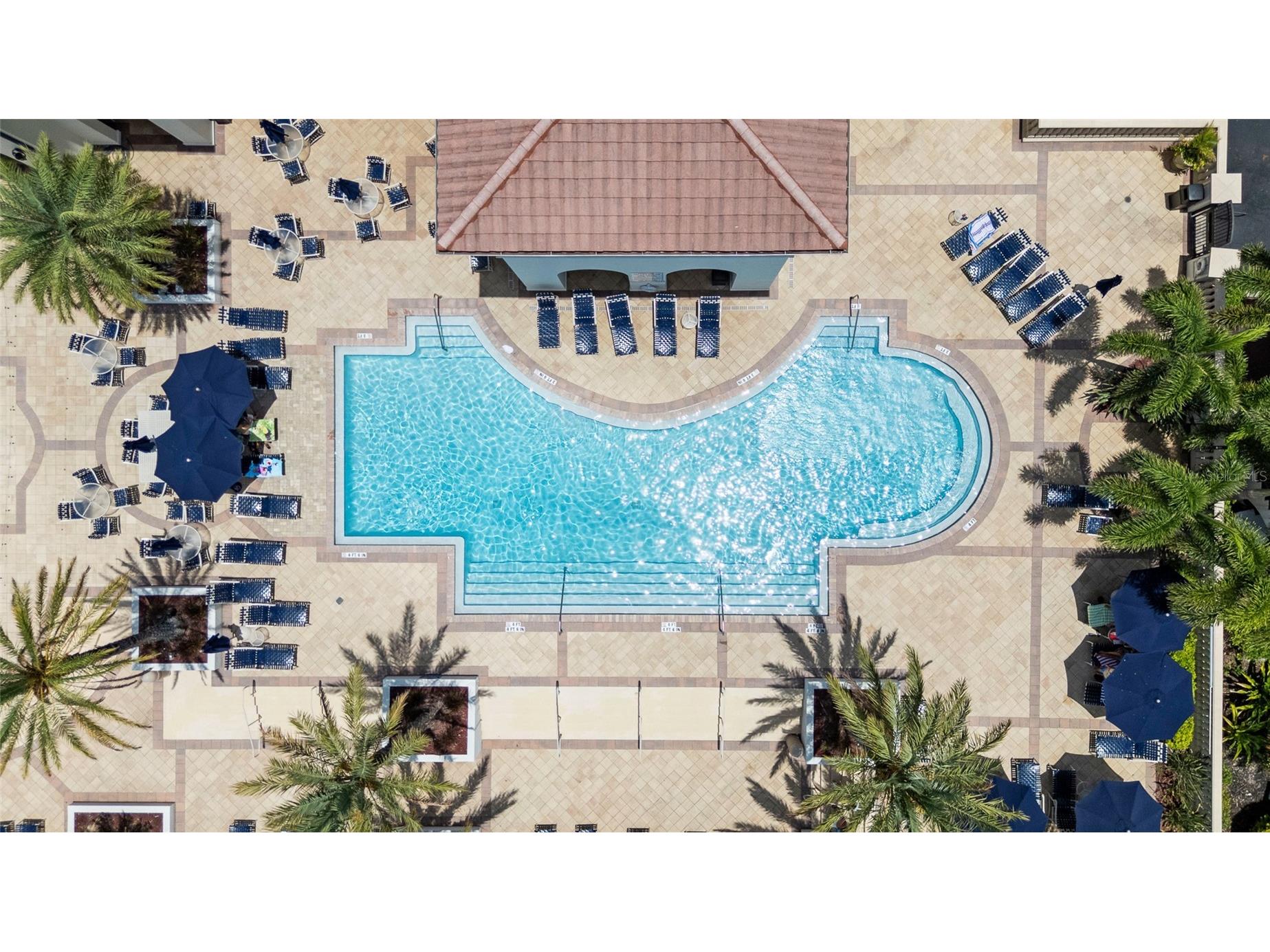 6031 Bowen Daniel Drive #105 Tampa FL 33616 TB8481667 image5