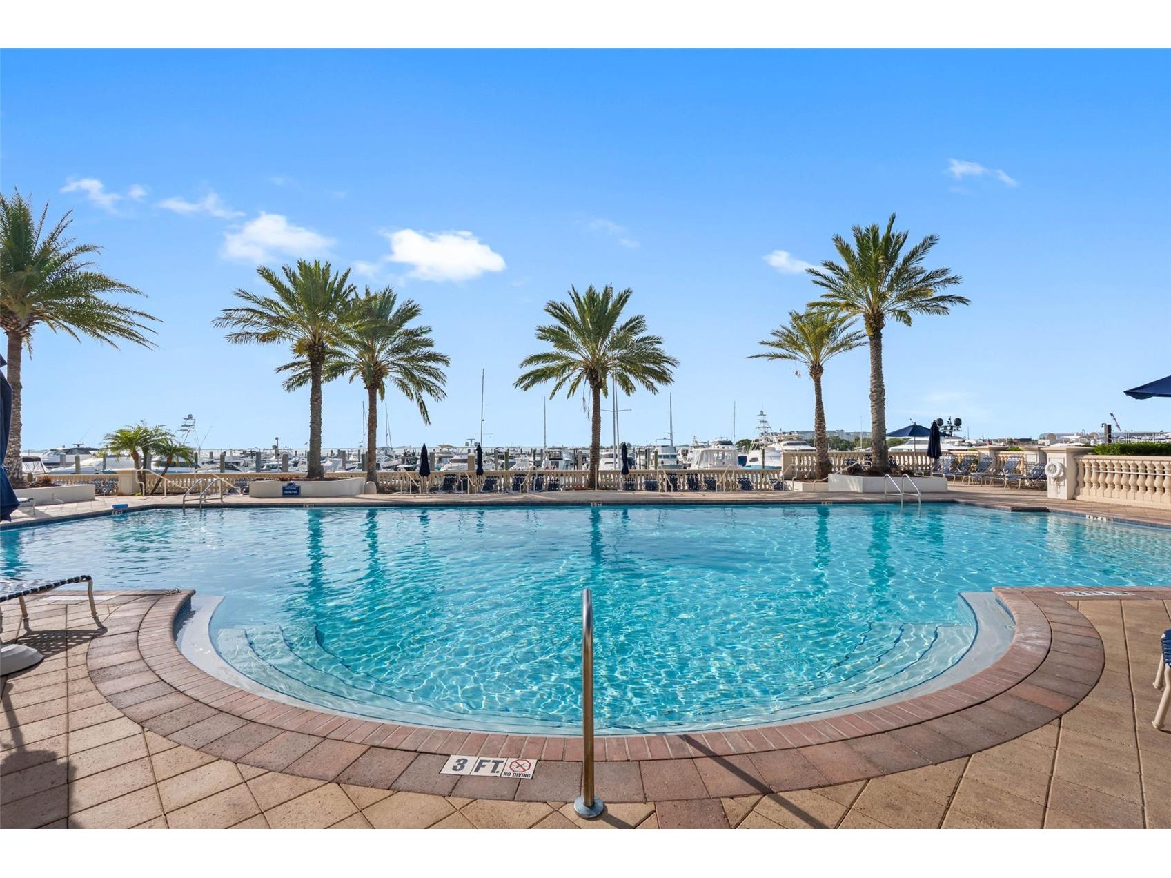 6031 Bowen Daniel Drive #105 Tampa FL 33616 TB8481667 image50
