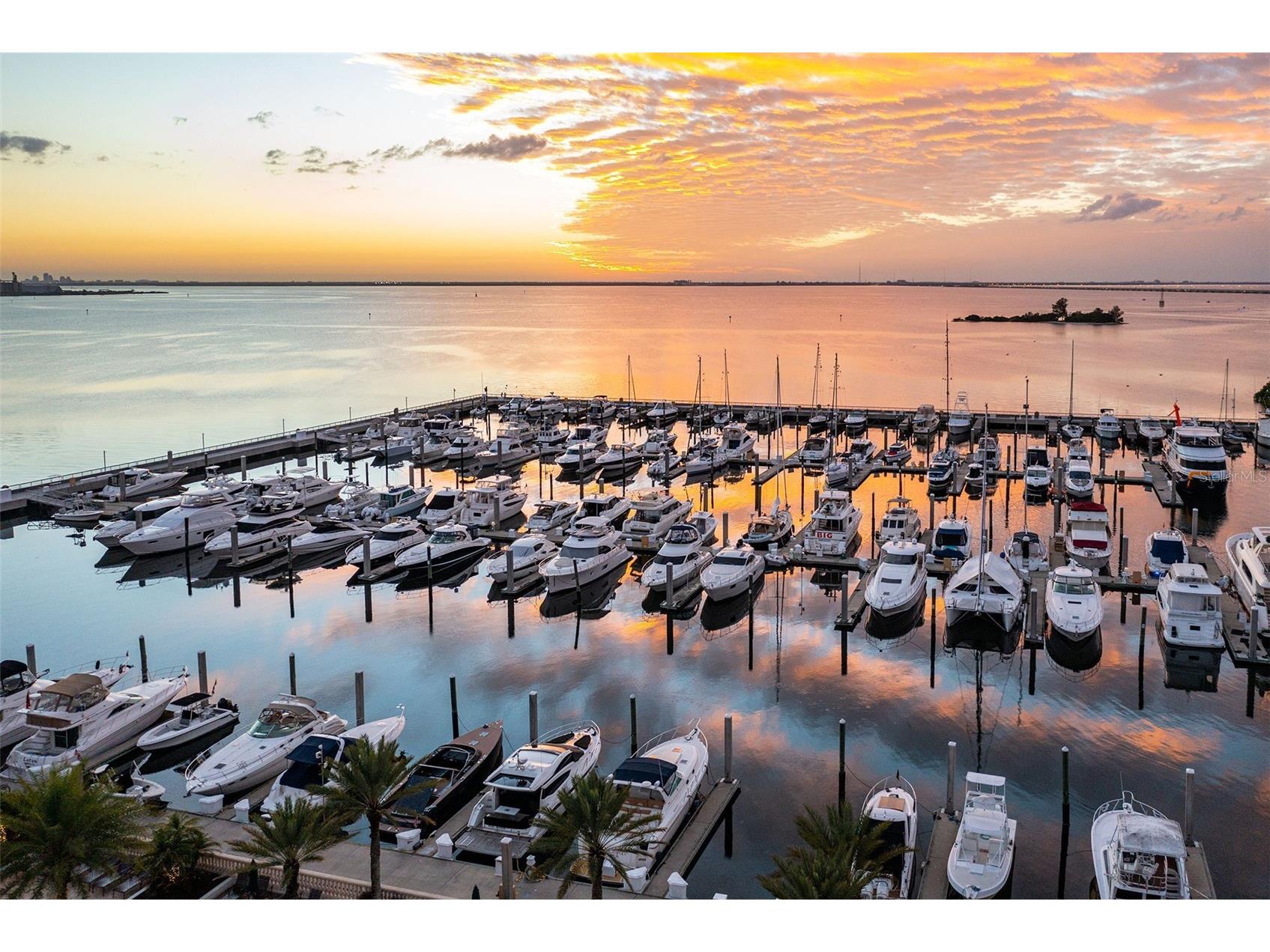 6031 Bowen Daniel Drive #105 Tampa FL 33616 TB8481667 image62