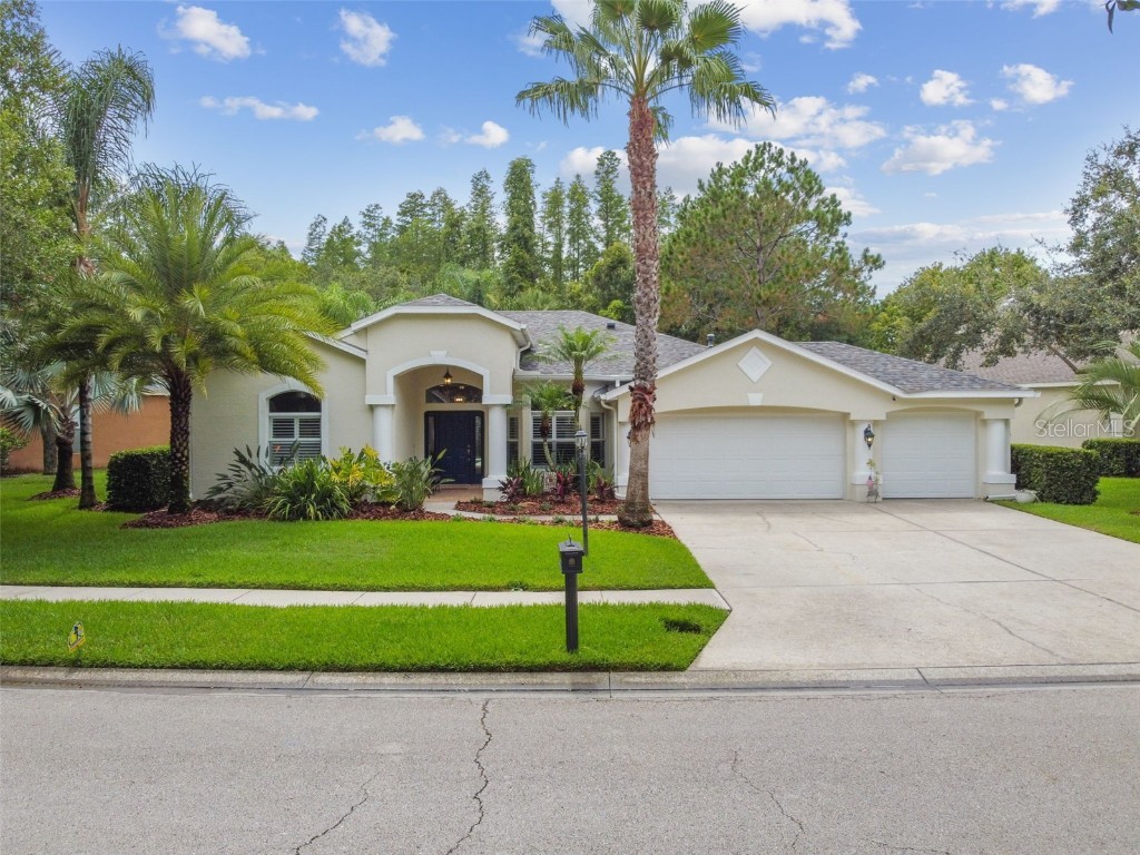 6031 Catlin Drive Tampa FL 33647 T3457294 image1