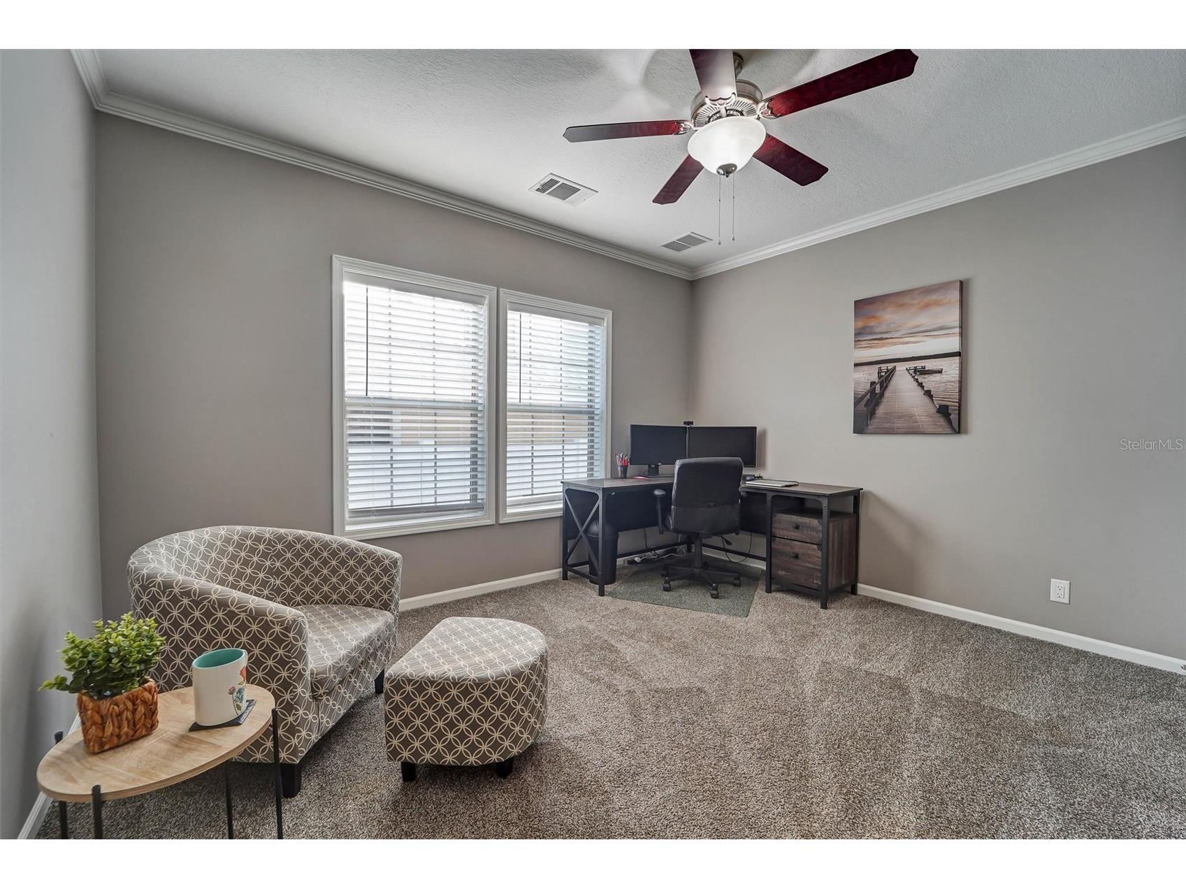 6031 Kentucky Avenue New Port Richey FL 34653 TB8487237 image15