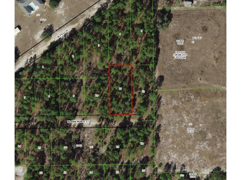 6031 W Ann Marie Court Dunnellon FL 34433 TB8455299 image1