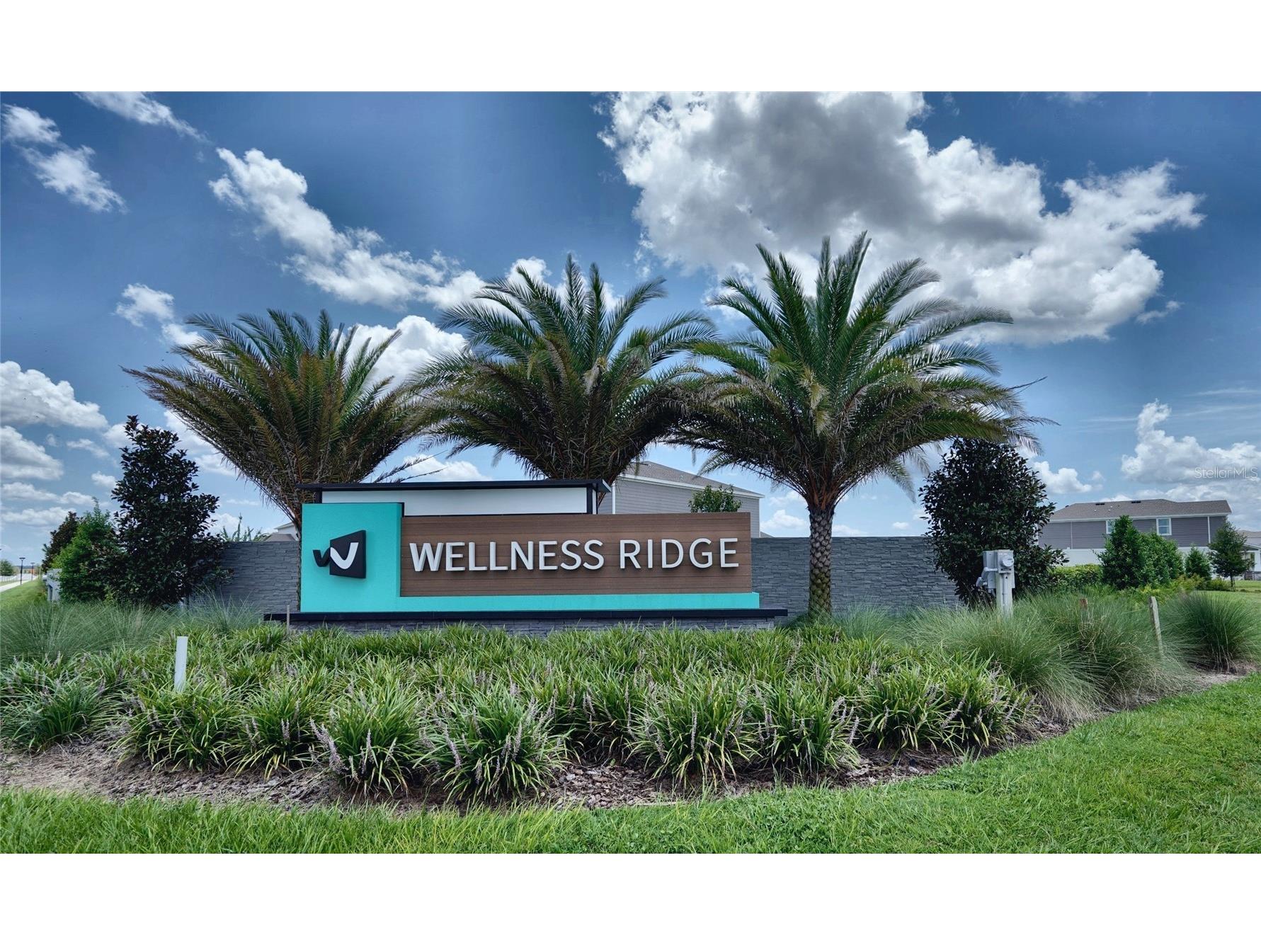 6032 Blissful Street Clermont FL 34714 O6420238 image28
