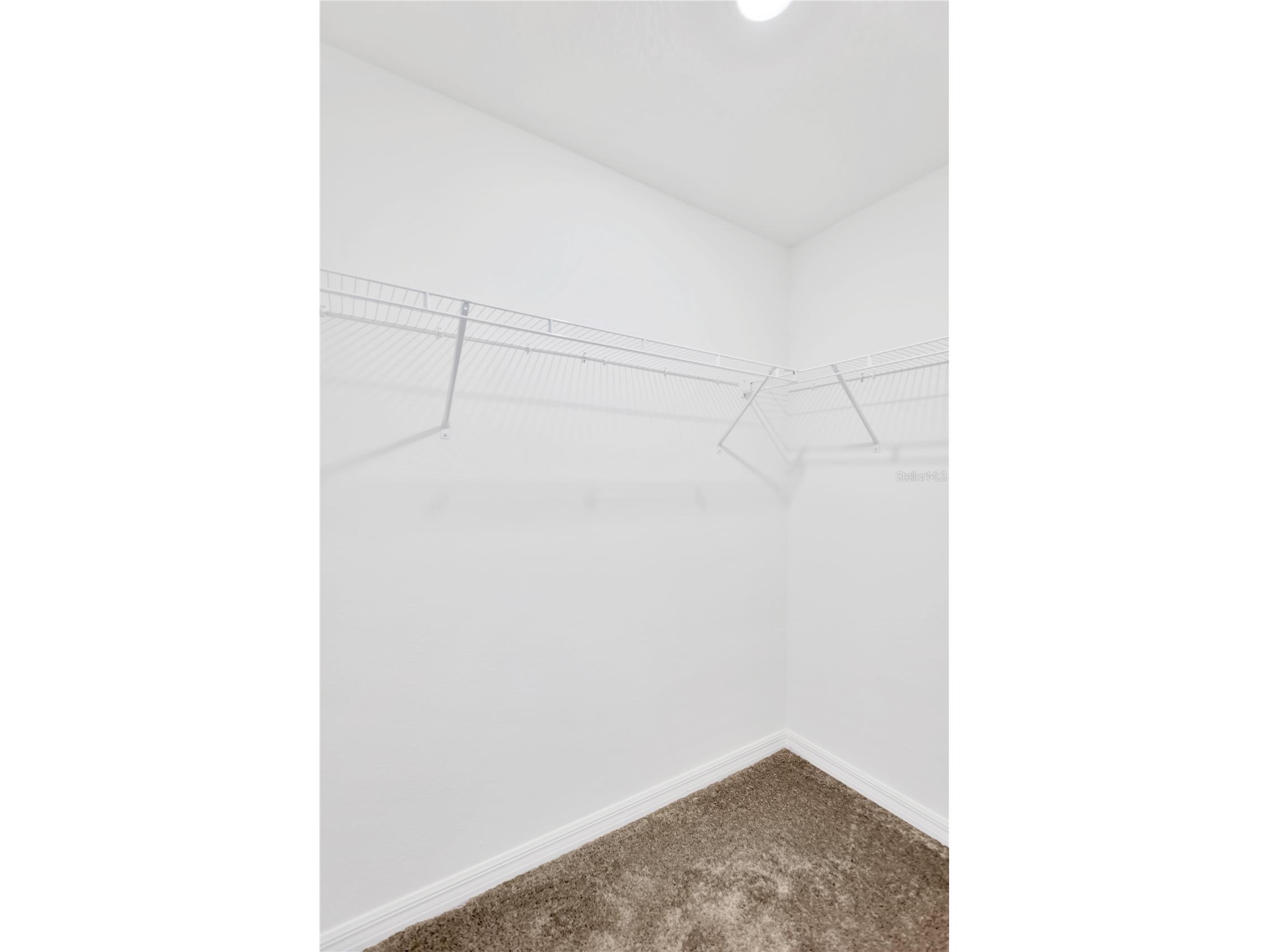 6032 Shiner Street Land O Lakes FL 34638 TB8489797 image43