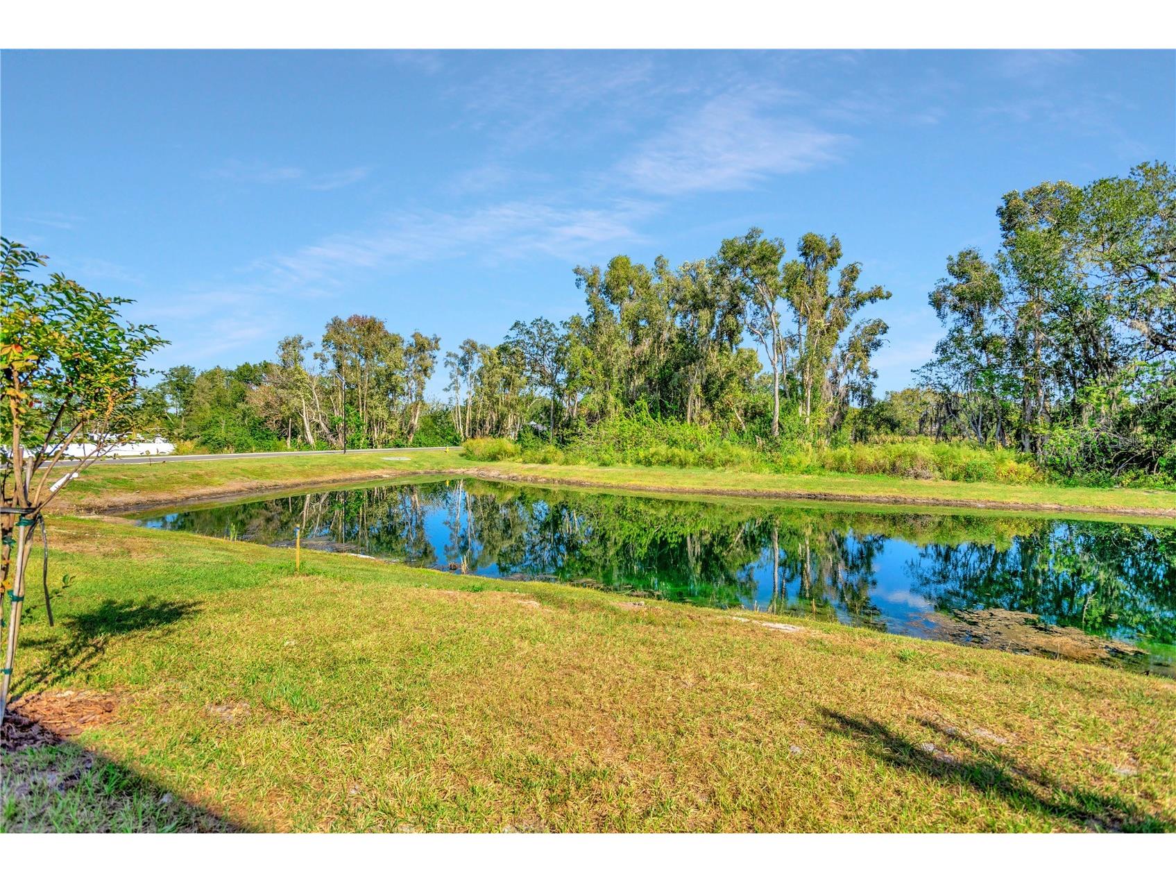 6032 Shiner Street Land O Lakes FL 34638 TB8489797 image52