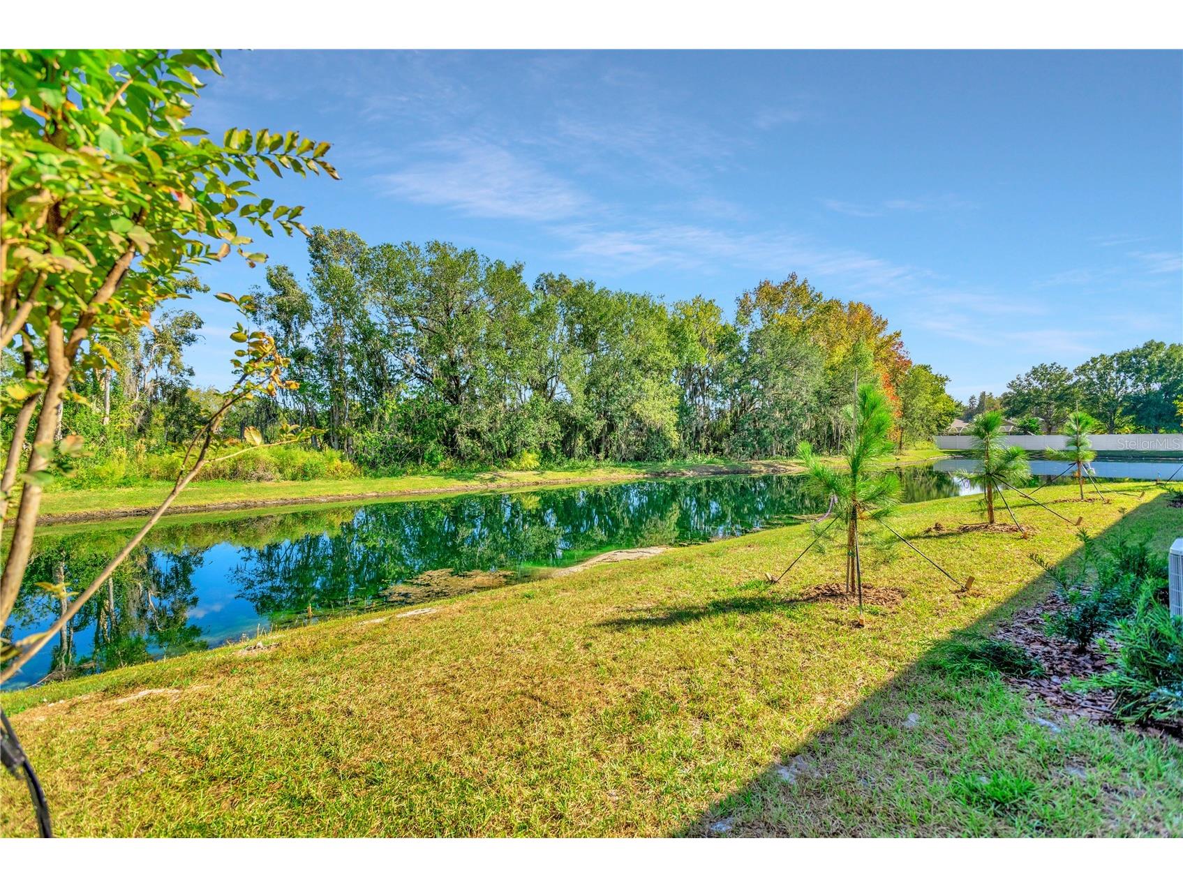 6032 Shiner Street Land O Lakes FL 34638 TB8489797 image53