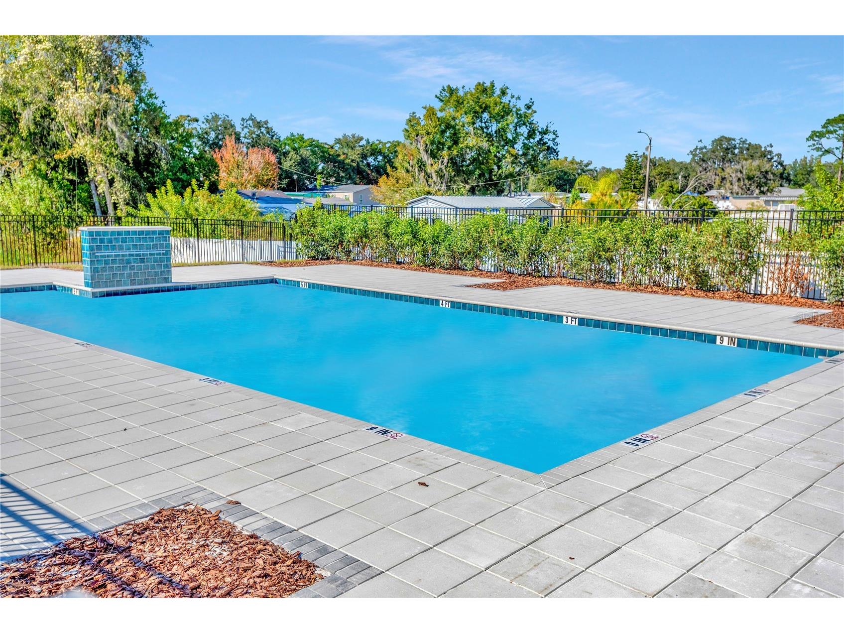 6032 Shiner Street Land O Lakes FL 34638 TB8489797 image59