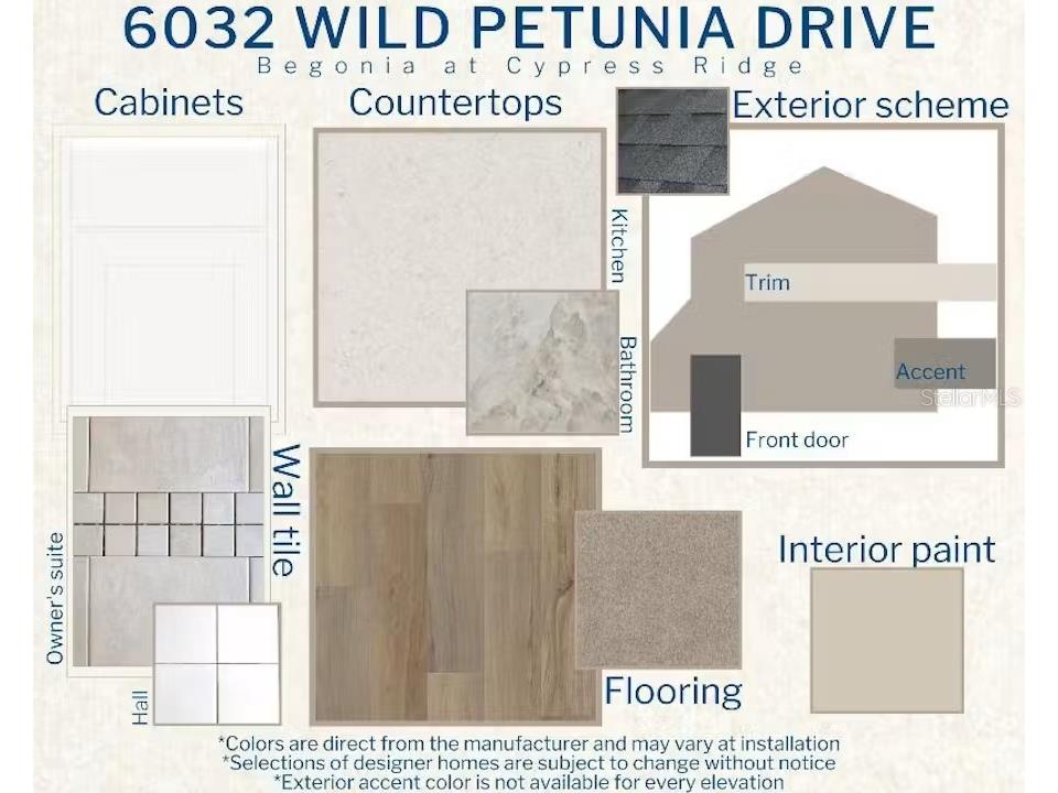 6032 Wild Petunia Drive Wimauma FL 33598 L4963316 image3