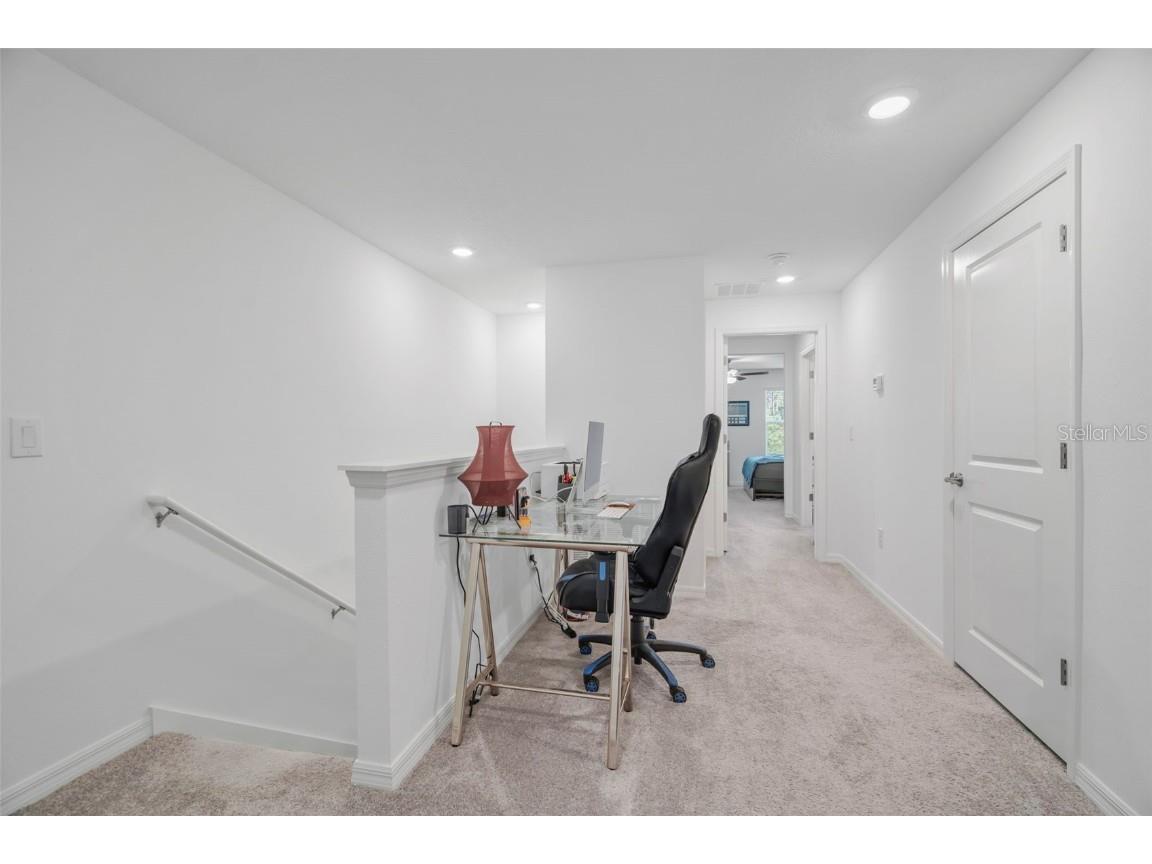 6033 Acara Lane Land O Lakes FL 34638 - LITTLE LAKE THOMAS TB8416274 image17