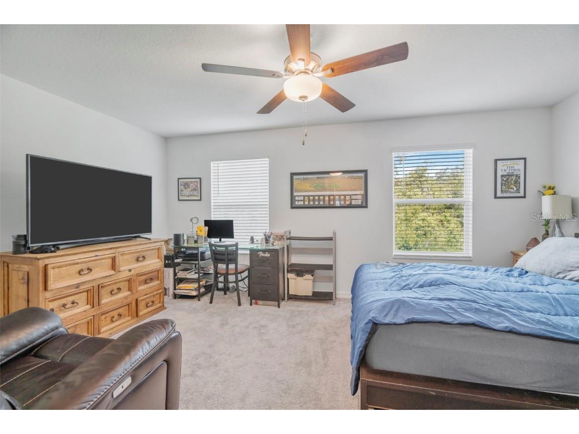 6033 Acara Lane Land O Lakes FL 34638 - LITTLE LAKE THOMAS TB8416274 image18