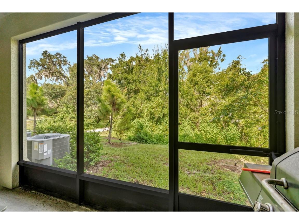 6033 Acara Lane Land O Lakes FL 34638 - LITTLE LAKE THOMAS TB8416274 image28