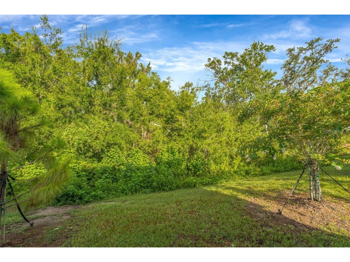 6033 Acara Lane Land O Lakes FL 34638 - LITTLE LAKE THOMAS TB8416274 image30