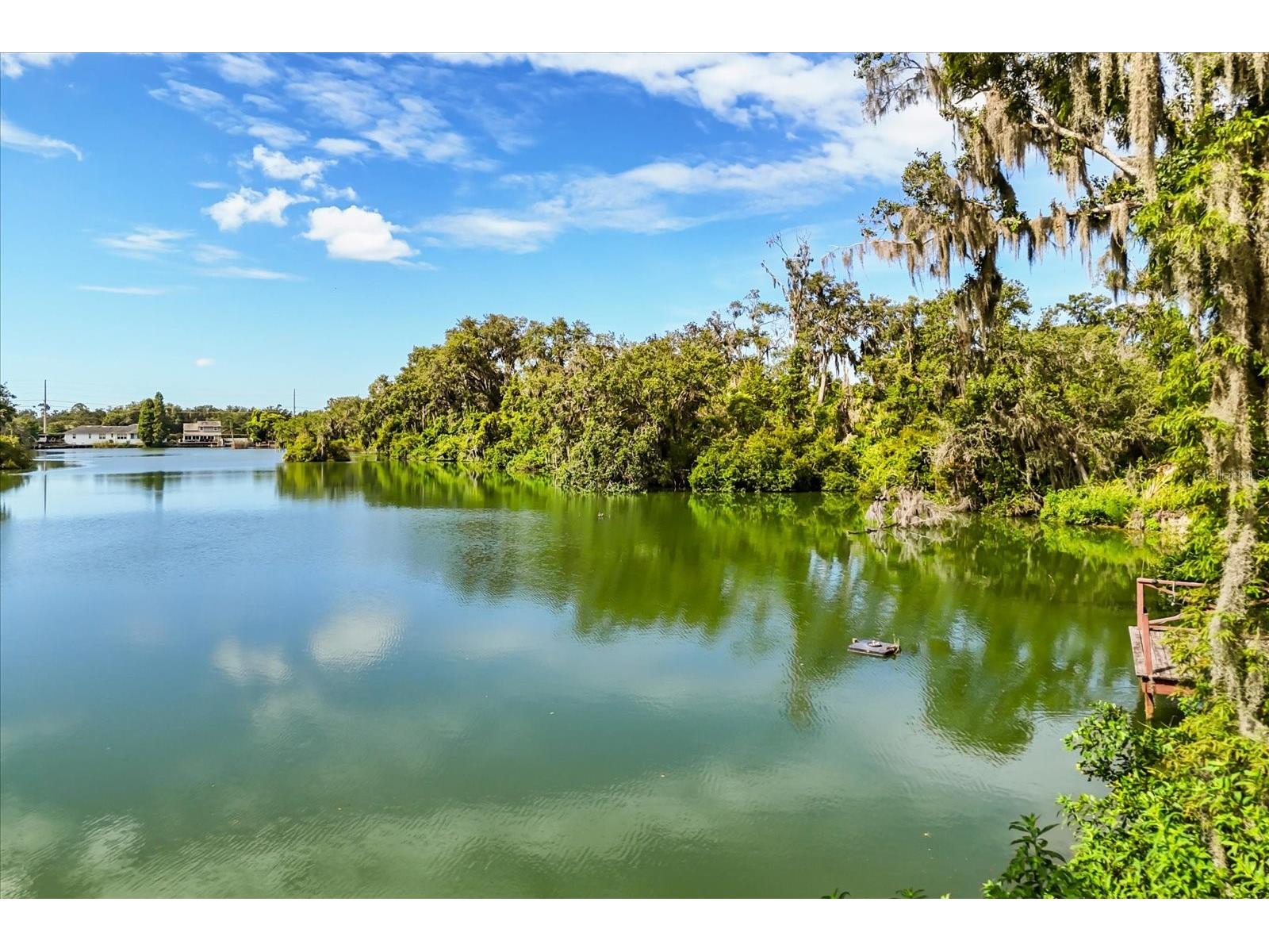 6033 Mountain Lake Drive Lakeland FL 33813 - MOUNTAIN LAKE L4954033 image2