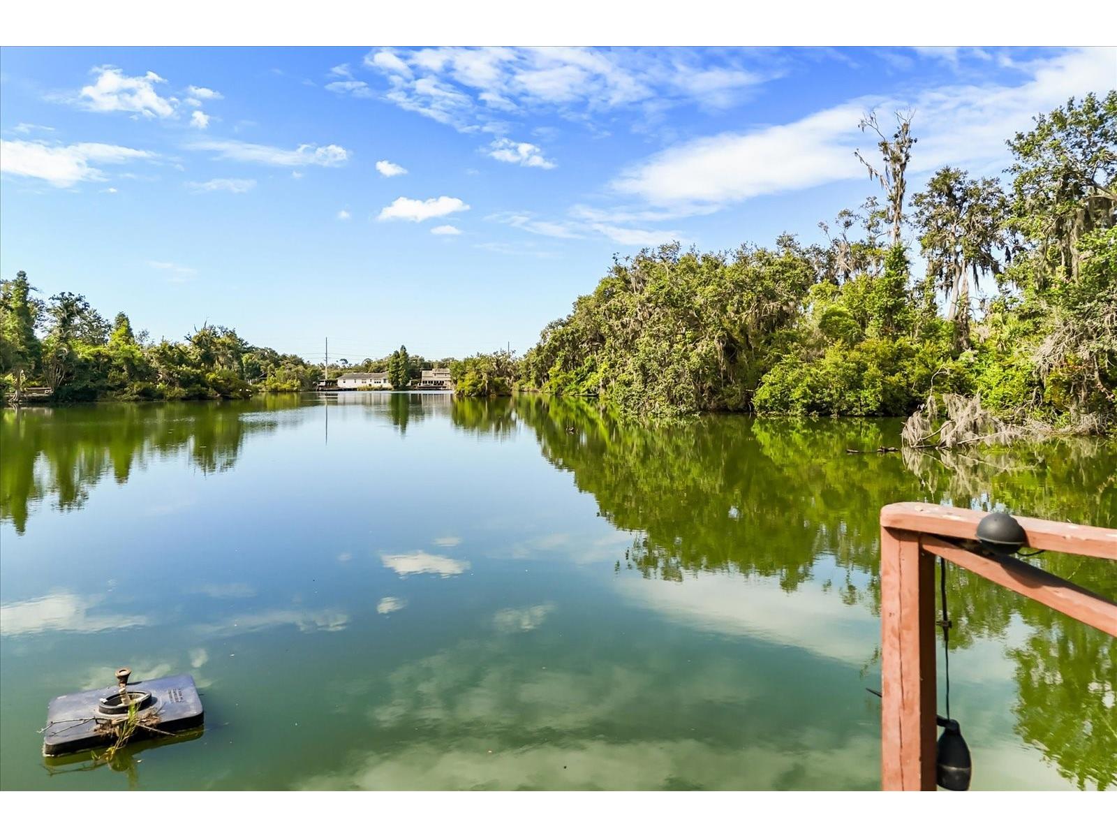 6033 Mountain Lake Drive Lakeland FL 33813 - MOUNTAIN LAKE L4954033 image39