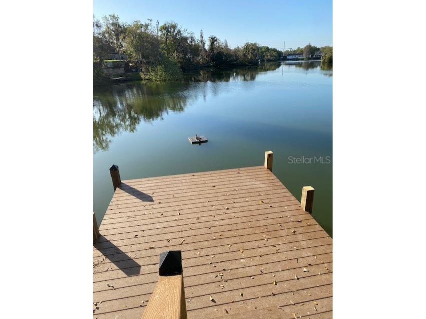 6033 Mountain Lake Drive Lakeland FL 33813 - MOUNTAIN LAKE L4954033 image4