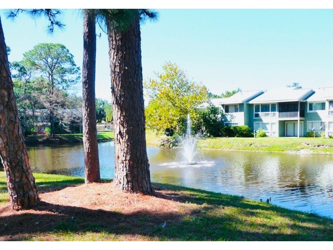 6033 Windhover Drive #D04 Orlando FL 32819 O6328557 image7