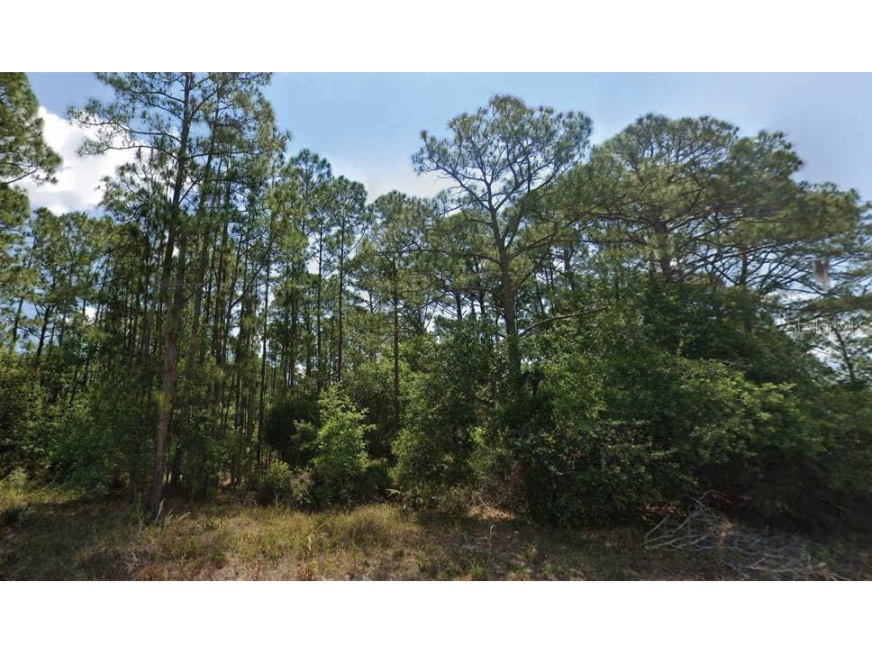 6034 Dian Avenue Sebring FL 33875 O6346522 image1