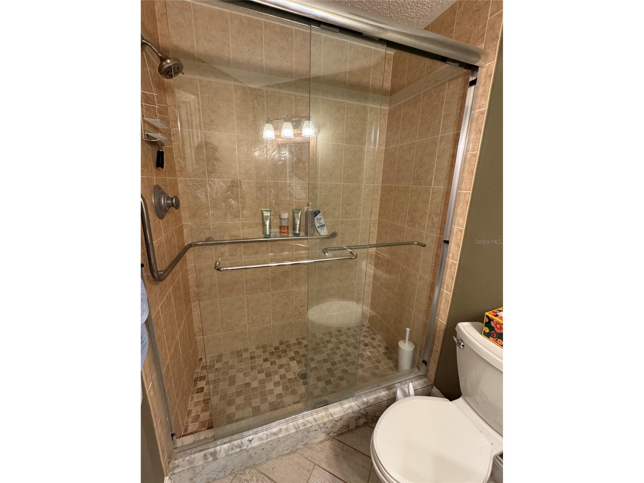 6035 Bahia Del Mar Boulevard #145 Saint Petersburg FL 33715 TB8515858 image11