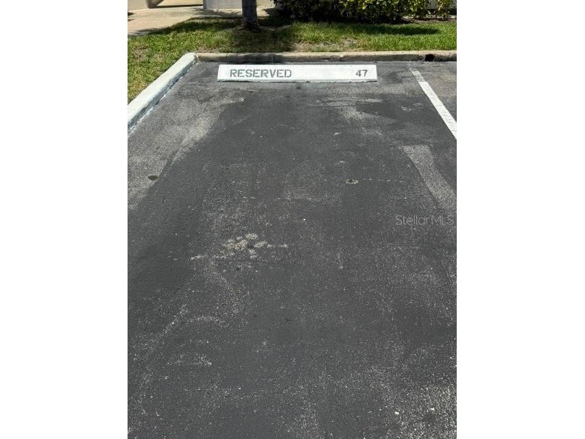 6035 Bahia Del Mar Boulevard #145 Saint Petersburg FL 33715 TB8515858 image18