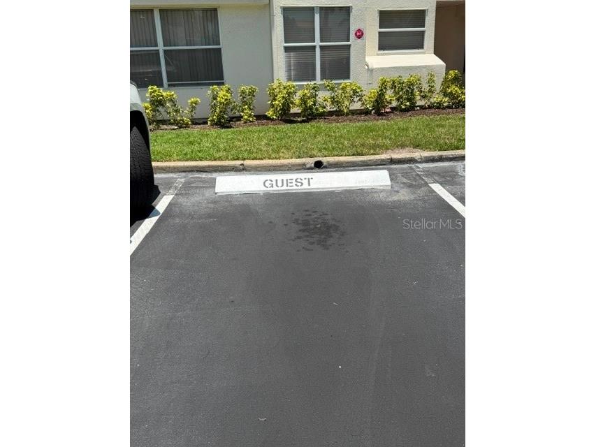 6035 Bahia Del Mar Boulevard #145 Saint Petersburg FL 33715 TB8515858 image19