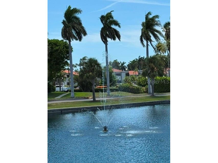 6035 Bahia Del Mar Boulevard #145 Saint Petersburg FL 33715 TB8515858 image21