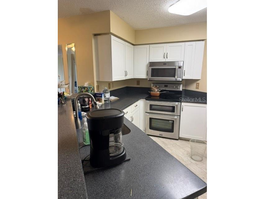 6035 Bahia Del Mar Boulevard #145 Saint Petersburg FL 33715 TB8515858 image4