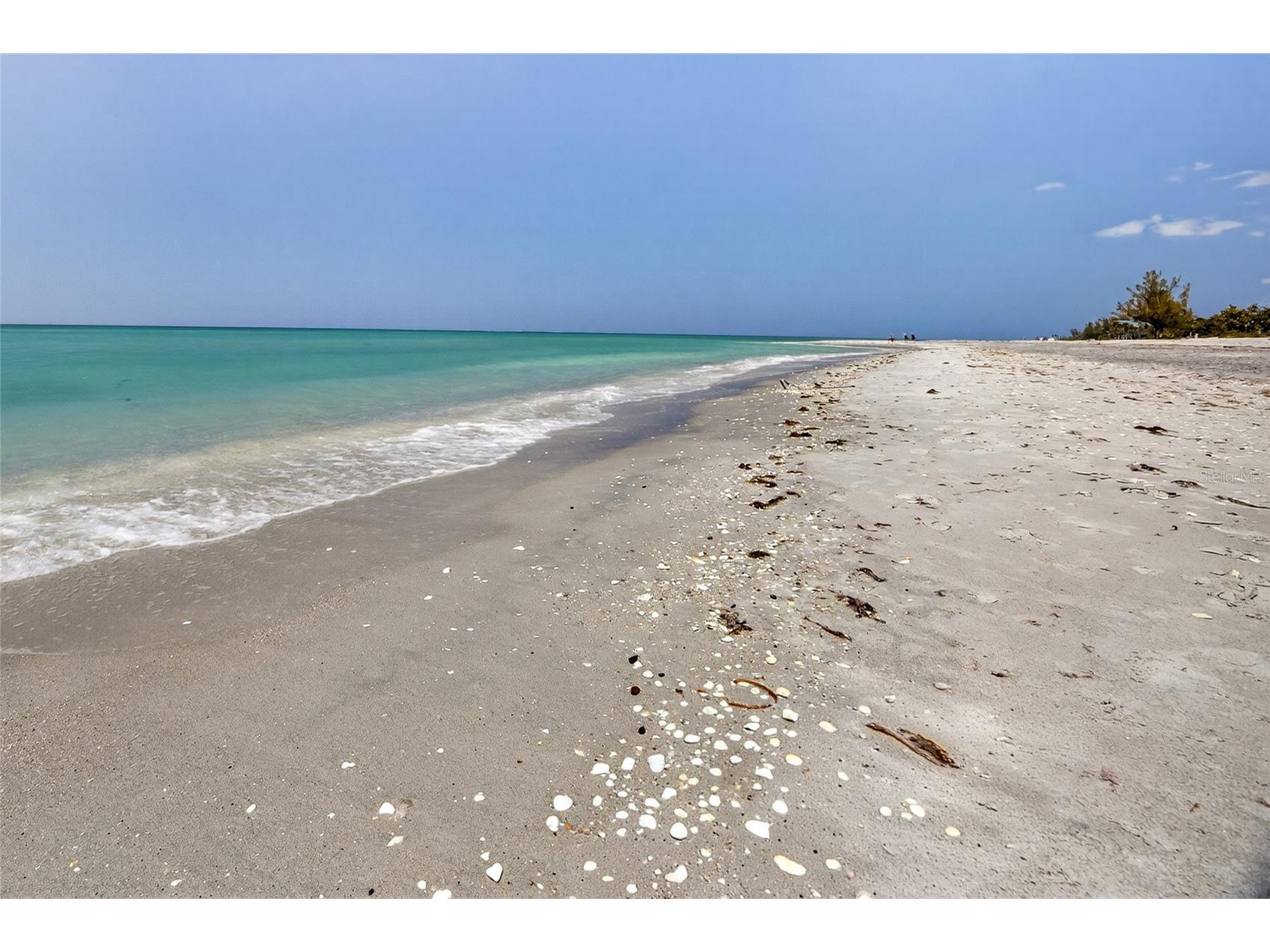 6035 Manasota Key Road Englewood FL 34223 - LEMON BAY GULF C7523960 image43