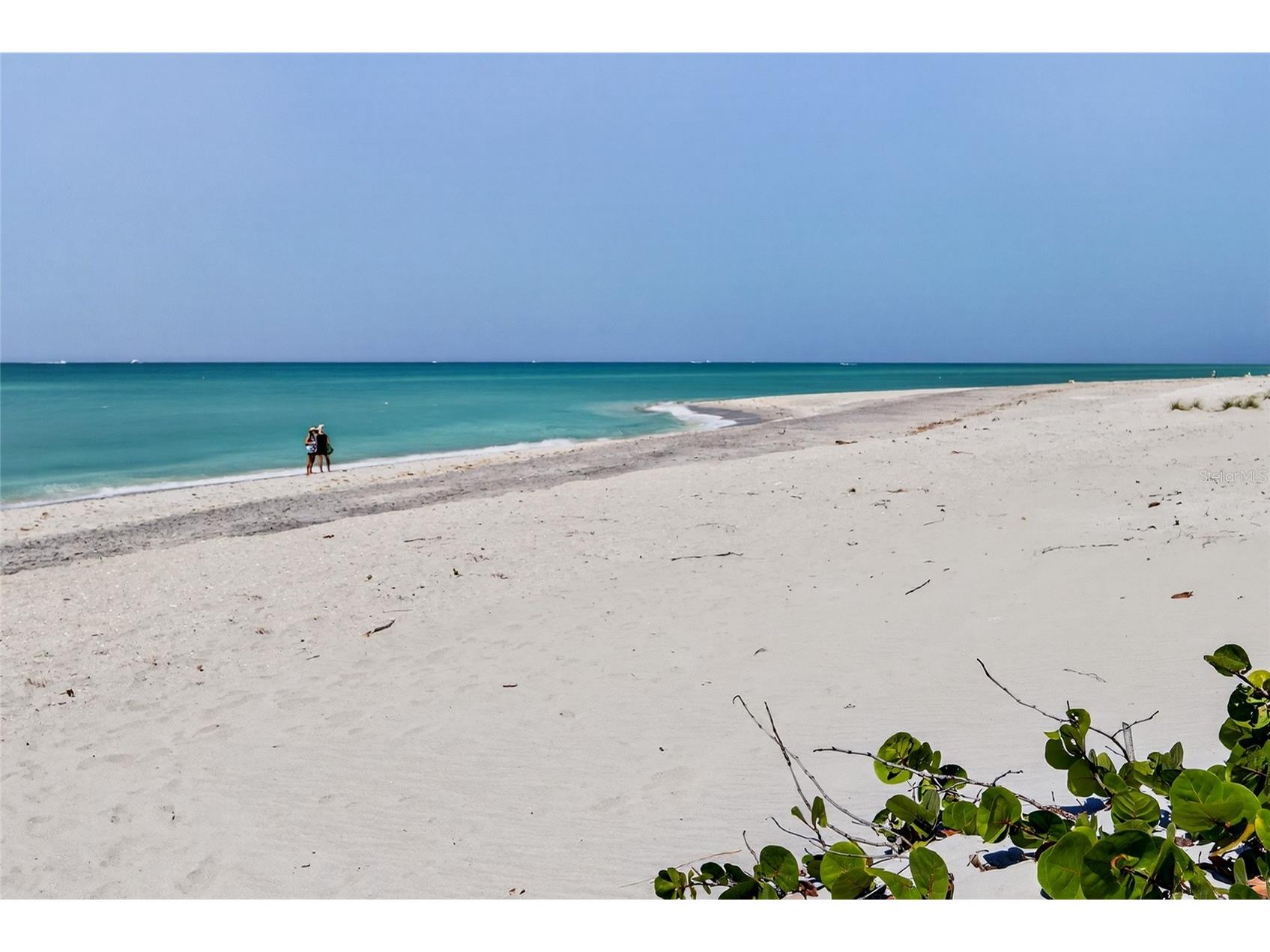 6035 Manasota Key Road Englewood FL 34223 - LEMON BAY GULF C7523960 image44