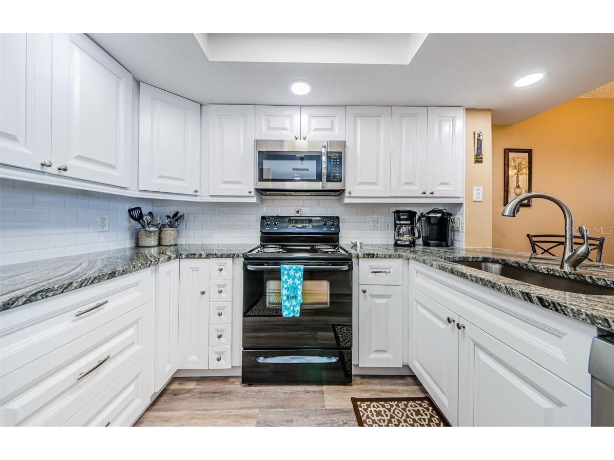 6035 Sea Ranch Drive #201 Hudson FL 34667 - GULF OF MEXICO LAGOON TB8446241 image15