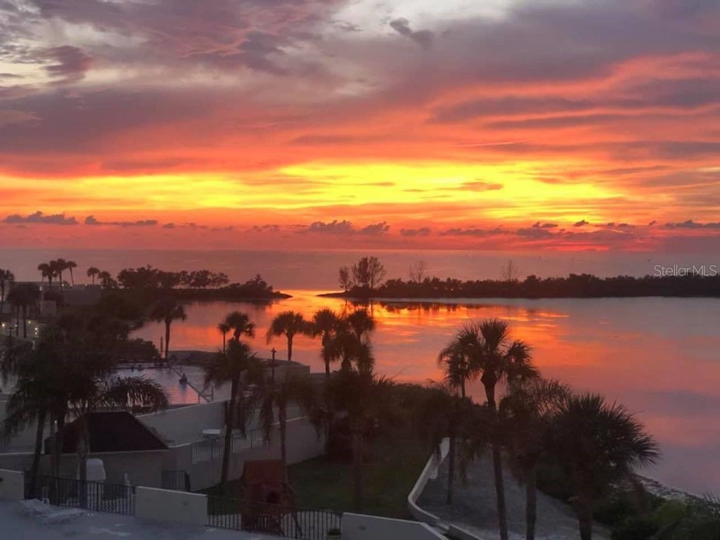 6035 Sea Ranch Drive #215 Hudson FL 34667 W7855364 image1