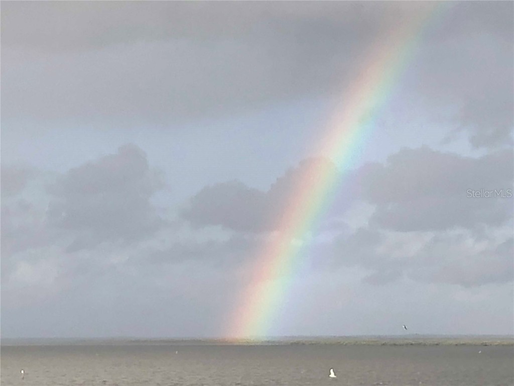 6035 Sea Ranch Drive #215 Hudson FL 34667 - GULF OF AMERICA S5120510 image66