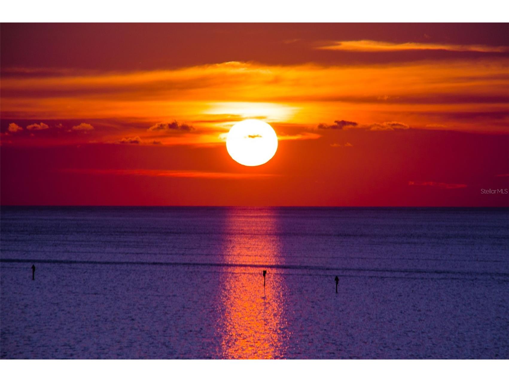 6035 Sea Ranch Drive #505 Hudson FL 34667 TB8456577 image43