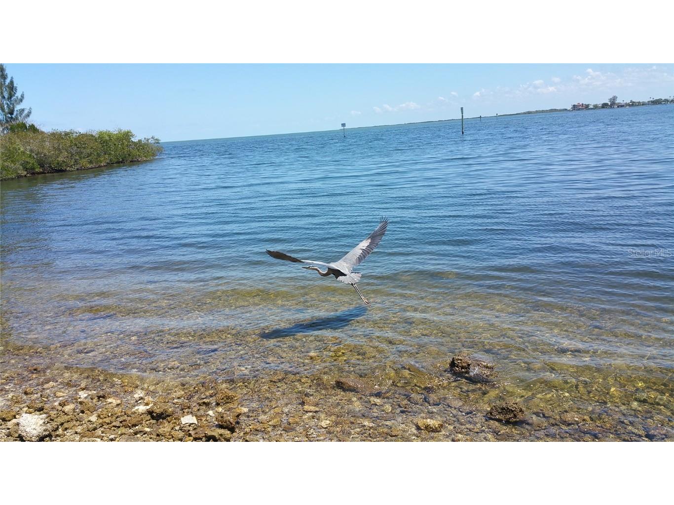 6035 Sea Ranch Drive #901 Hudson FL 34667 - GULF OF MEXICO S5118036 image40