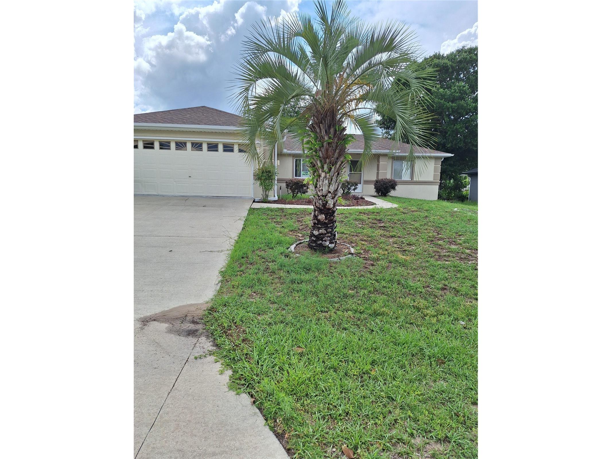6035 SW 98th Street Road Ocala FL 34476 OM725744 image1