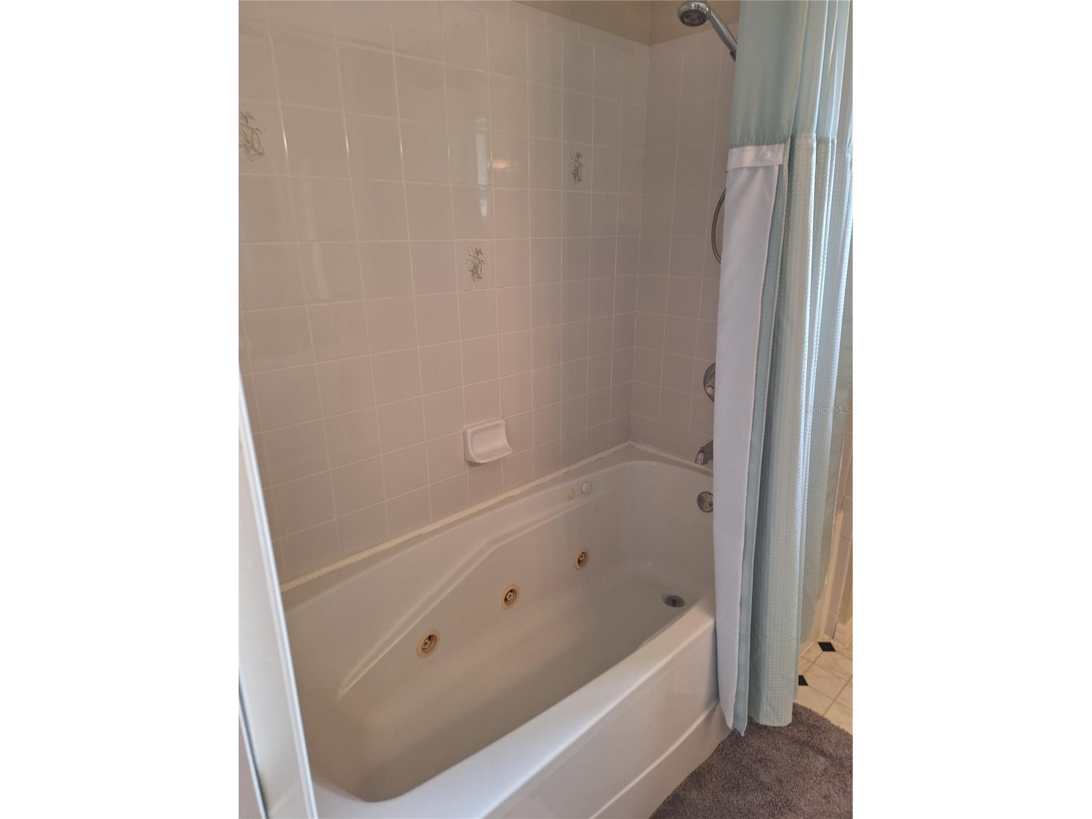 6035 SW 98th Street Road Ocala FL 34476 OM725744 image9